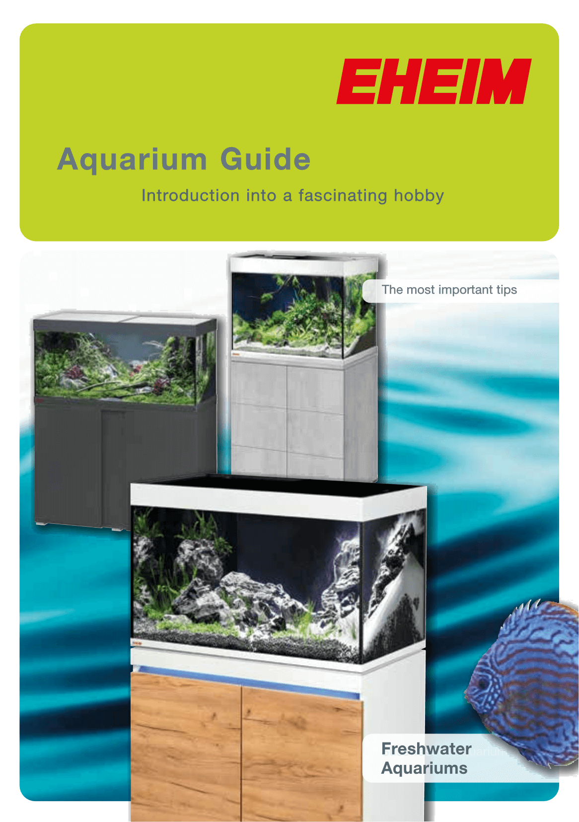 Ratgeber Licht im Aquarium