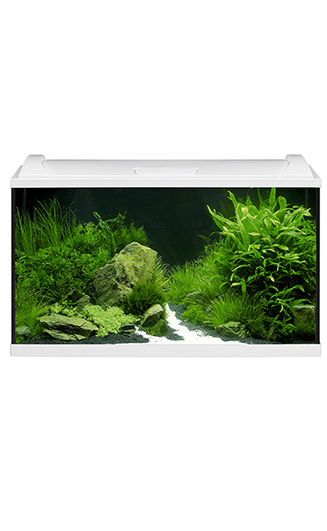 aquapro_LED_weiß_126