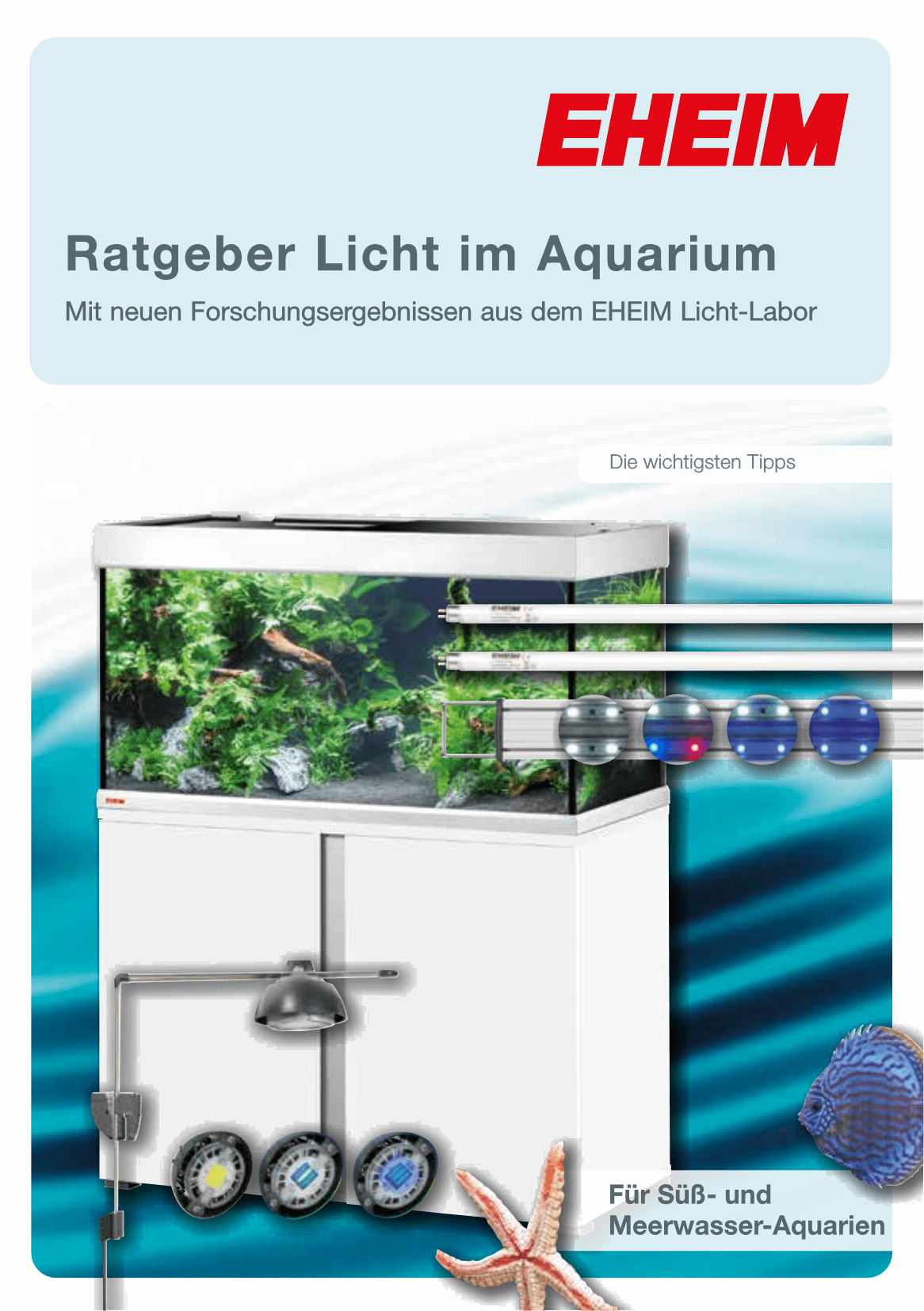 Ratgeber Licht im Aquarium