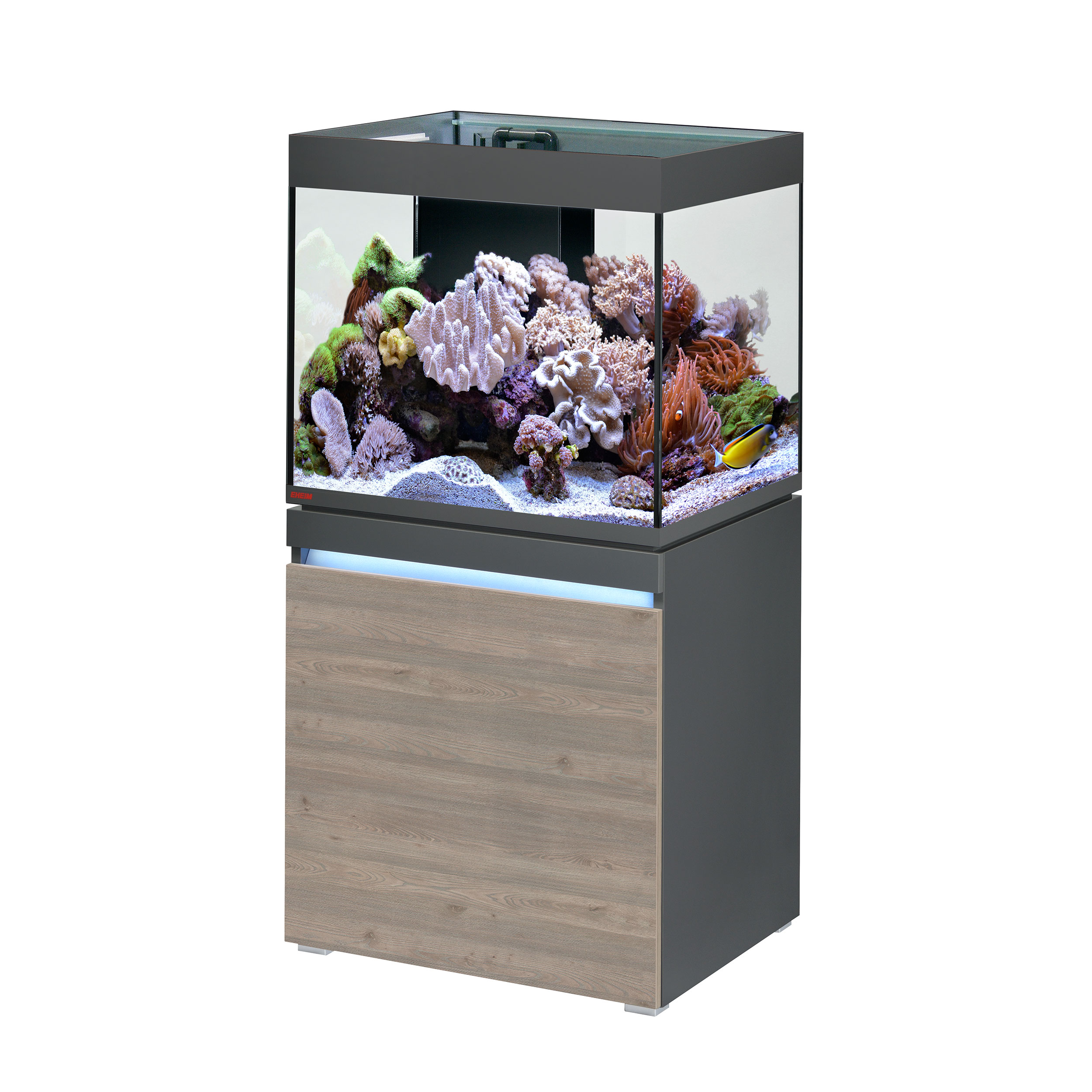 230_reef graphit/rustic oak