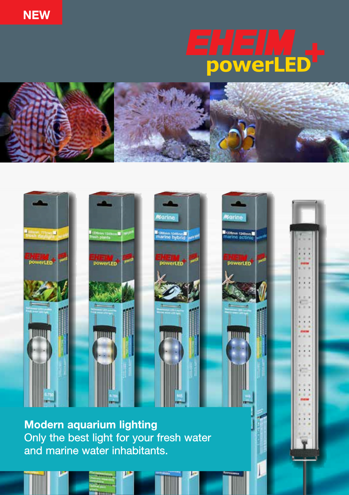 Download EHEIM Flyer powerLED+