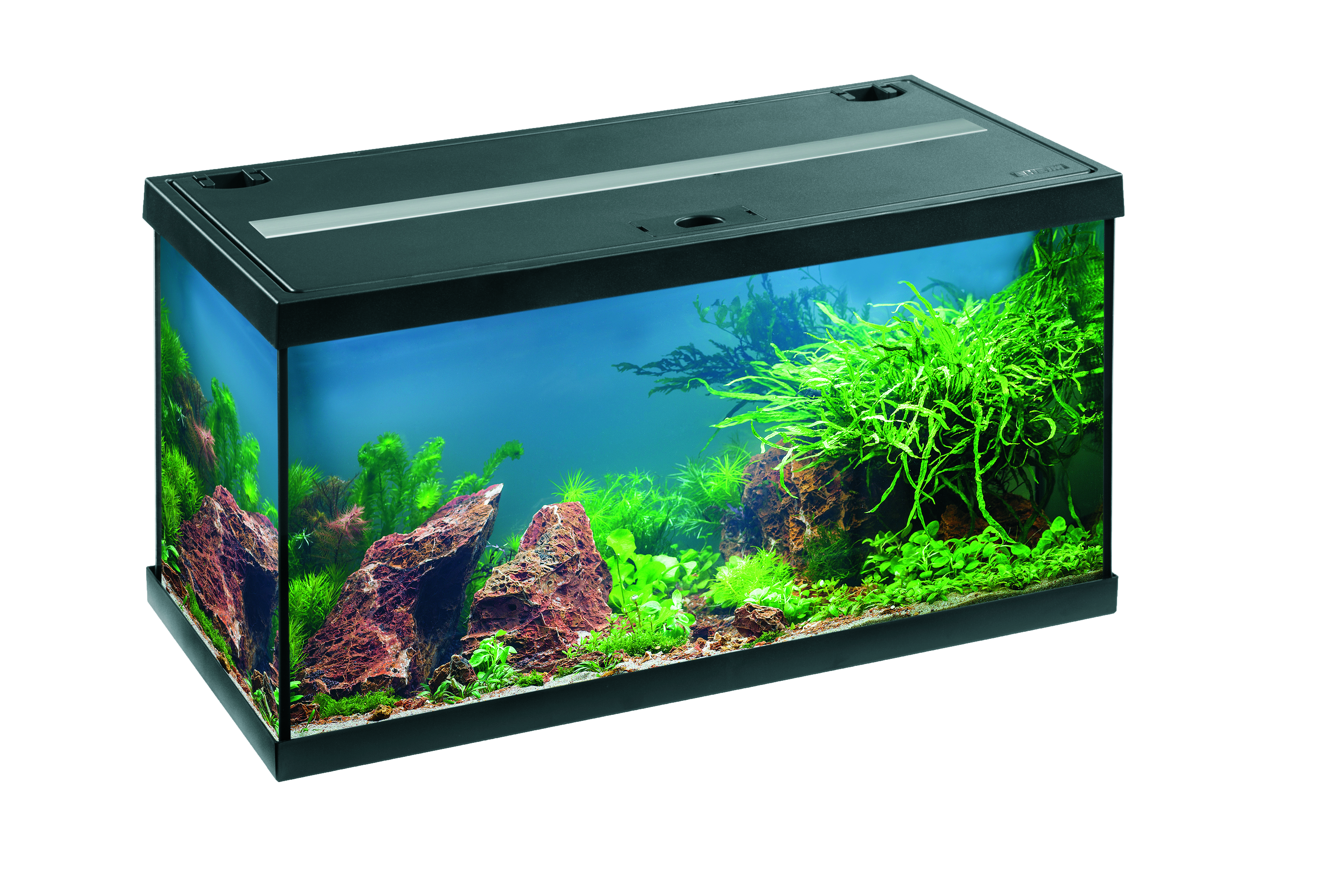 aquastar54LED